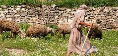  Çobanlar ile Kutsal Bir Buluşma: İnanç ve Doğanın Harmoni